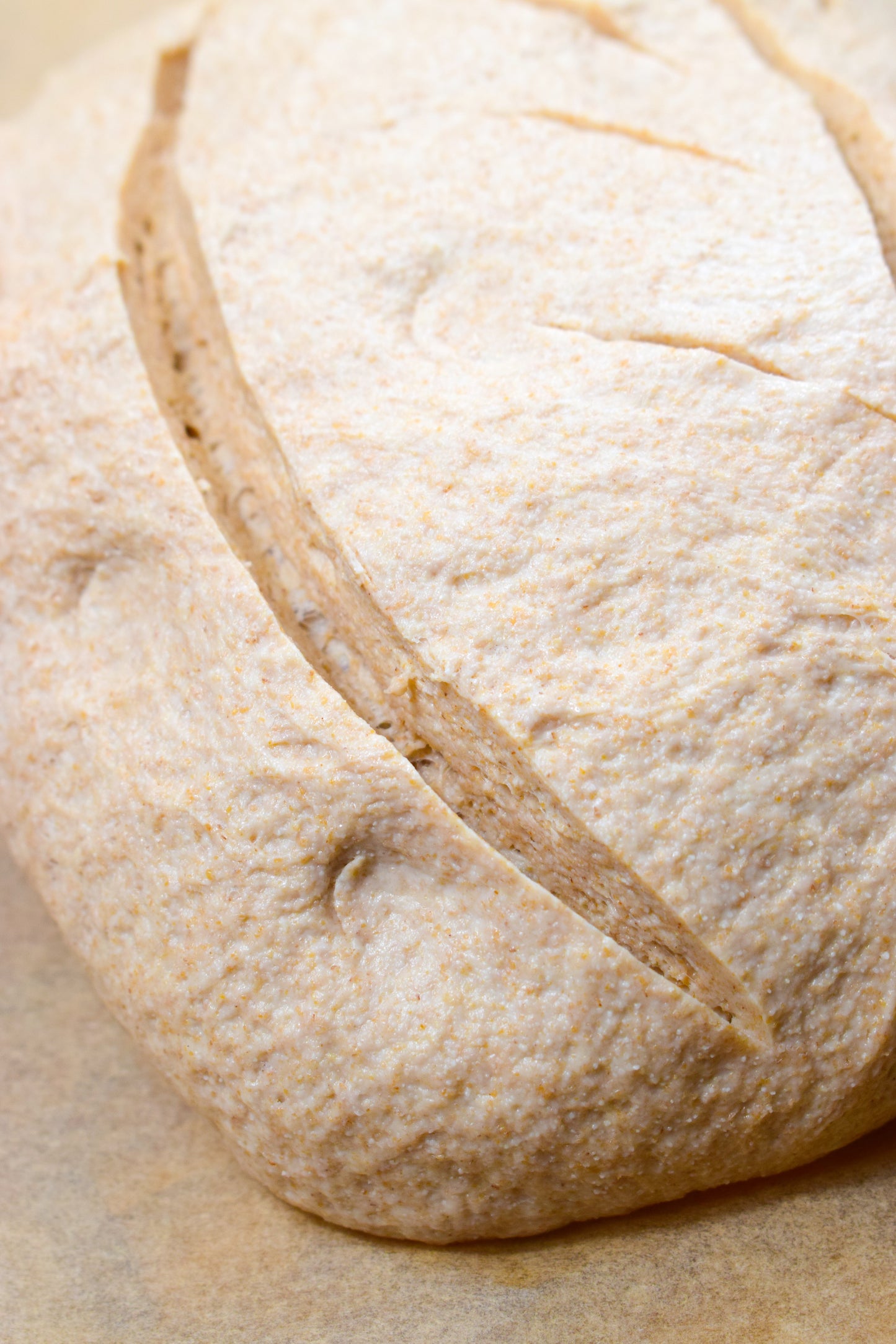 Pearled Wheat Flour (5kg bag)